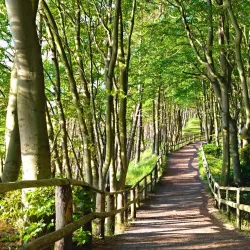 Wolin National Park - Swinoujscie