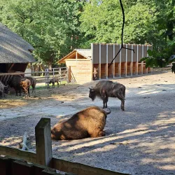 Wolin National Park - Swinoujscie
