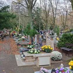 Central Cemetery in Szczecin - Szczecin