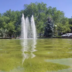 Jasne Błonia Park - Szczecin