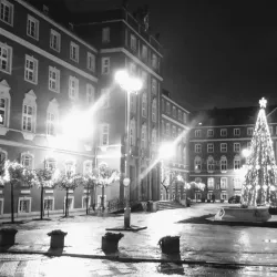 Jasne Błonia Park - Szczecin