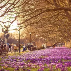 Jasne Błonia Park - Szczecin