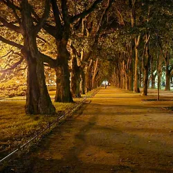 Jasne Błonia Park - Szczecin
