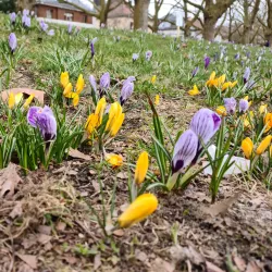 Jasne Błonia Park - Szczecin