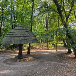 Park Miejski (City Park) - Tarnowskie Góry