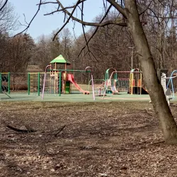 Park Miejski (City Park) - Tarnowskie Góry