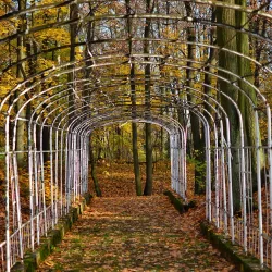 Park Miejski (City Park) - Tarnowskie Góry