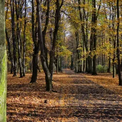 Park Miejski (City Park) - Tarnowskie Góry