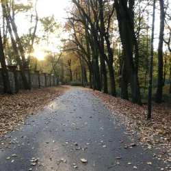 Park Miejski (City Park) - Tarnowskie Góry