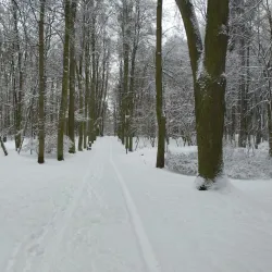 Park Miejski (City Park) - Tarnowskie Góry