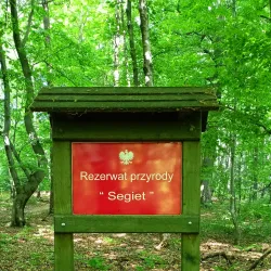 Repty Śląskie Nature Reserve - Tarnowskie Góry