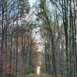 Repty Śląskie Nature Reserve - Tarnowskie Góry