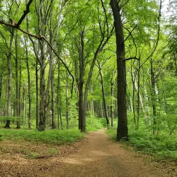Repty Śląskie Nature Reserve - Tarnowskie Góry