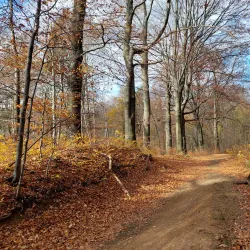 Repty Śląskie Nature Reserve - Tarnowskie Góry