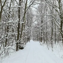 Repty Śląskie Nature Reserve - Tarnowskie Góry
