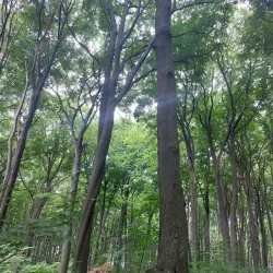 Repty Śląskie Nature Reserve - Tarnowskie Góry