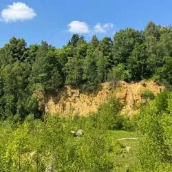 Repty Śląskie Nature Reserve - Tarnowskie Góry