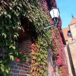 Old Town of Toruń - Torun