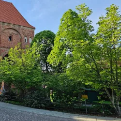 Toruń Castle (Teutonic Castle) - Torun