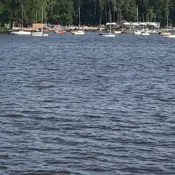 Paprocany Forest - Tychy