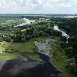 Bug River Nature Reserve - Ulhowek (Ulhówek)