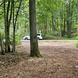 Bug River Nature Reserve - Ulhowek (Ulhówek)