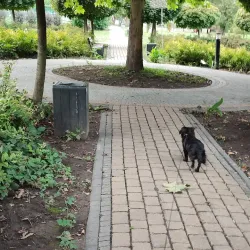 Ulhówek Village Park - Ulhowek (Ulhówek)