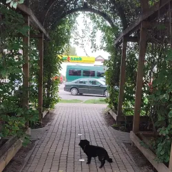 Ulhówek Village Park - Ulhowek (Ulhówek)