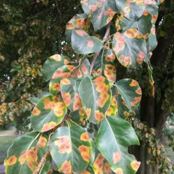 Ulhówek Village Park - Ulhowek (Ulhówek)