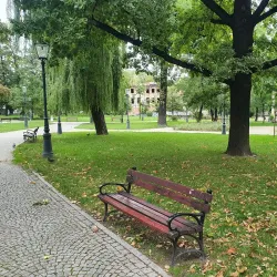 Park Miejski (City Park) - Świebodzice