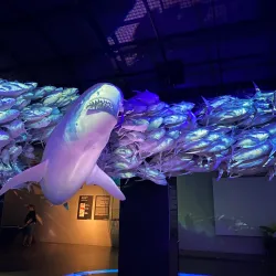 Hydropolis - Wroclaw