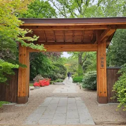 Japanese Garden - Wroclaw