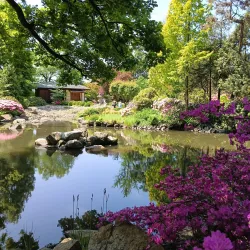 Japanese Garden - Wroclaw