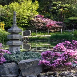 Japanese Garden - Wroclaw