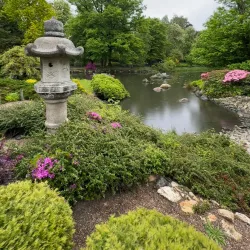 Japanese Garden - Wroclaw