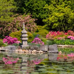 Japanese Garden - Wroclaw