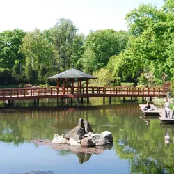 Japanese Garden - Wroclaw