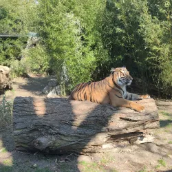 Wroclaw Zoo and Afrykarium - Wroclaw