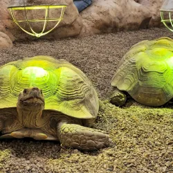 Wroclaw Zoo and Afrykarium - Wroclaw