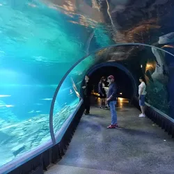 Wroclaw Zoo and Afrykarium - Wroclaw