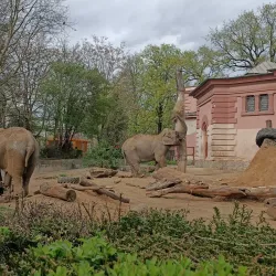 Wroclaw Zoo and Afrykarium - Wroclaw