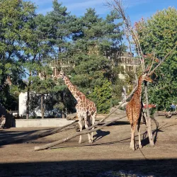 Wroclaw Zoo and Afrykarium - Wroclaw