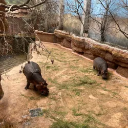 Wroclaw Zoo and Afrykarium - Wroclaw