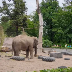 Wroclaw Zoo and Afrykarium - Wroclaw
