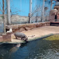 Wroclaw Zoo and Afrykarium - Wroclaw