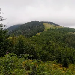 Beskid Mountains Hiking Trails - Żywiec (Zywiec)