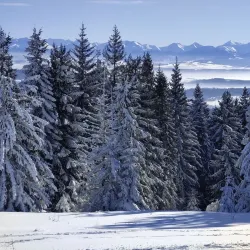 Beskid Mountains Hiking Trails - Żywiec (Zywiec)