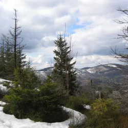 Beskid Mountains Hiking Trails - Żywiec (Zywiec)