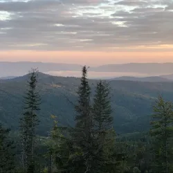 Żywiec Landscape Park - Żywiec (Zywiec)