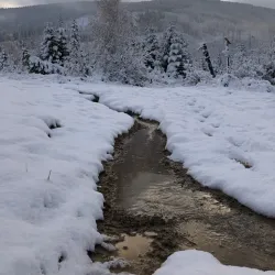 Żywiec Landscape Park - Żywiec (Zywiec)